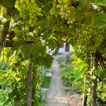 Apartamentai Su Pirtimi *