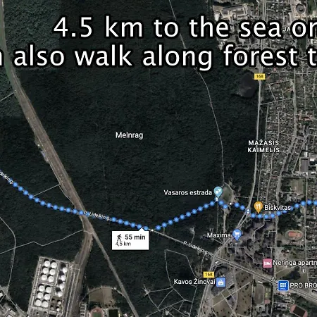 Apartamentai Su Pirtimi Klaipėda