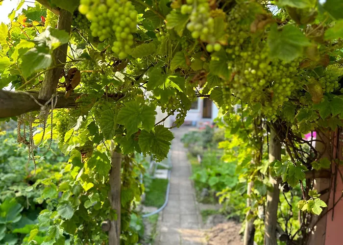 Apartamentai Su Pirtimi *